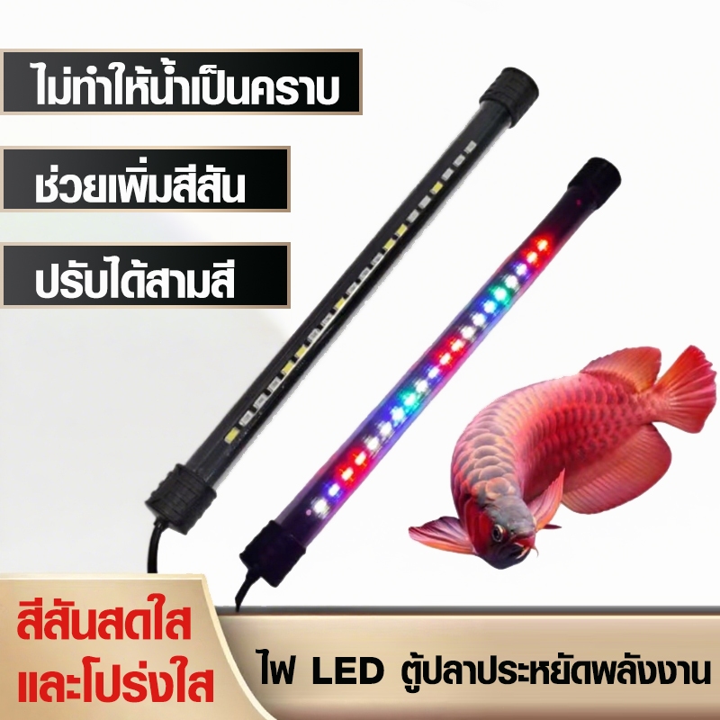 หลอดไฟตู้ปลา ไฟLEDสำหรับตู้ปลา มีแสงไฟ3แบบ 🐠🐠พร้อมส่งทุกขนาดนะคะ🐠🐠