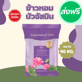 40 กิโลกรัม ข้าวหอมสายพันธุ์จัสมิน ตราบัวจัสมิน ขนาด 40 กิโลกรัม 1ถุง ข้าวราคาถูก นิ่ม ฟู หุงขึ้นหม้อ ข้าวนาปรัง