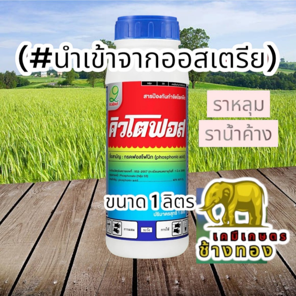 คิวโตฟอส ยกลัง 1 ลิตรx12 ขวด กรดฟอสโฟนิก นำเข้าจากออสเตรีย กำจัดโรครากเน่า โคนเน่า เชื้อราไฟทอปธอร่า