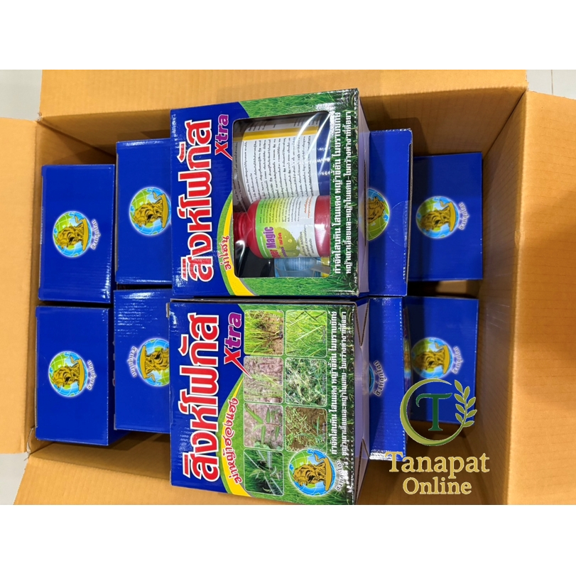 ยาฆ่าหญ้าในนาข้าว สิงห์โฟกัสเอกตร้า(ลังx20ชุด) กำจัดวัชพีช ในนาข้าว เก็บหญ้าใบกว้าง ใบแคบ เถาเลื้อย