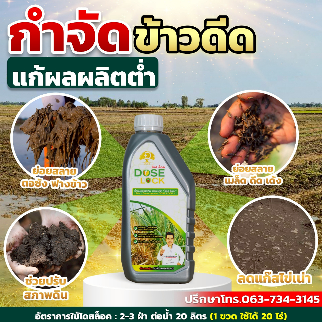 [ใหม่] Dose Lock โดสล็อคจบปัญหาข้าวดีด ข้าวเด้ง เกษตรอินทรีย์ น้ำหมักย่อยสลายตอซังฟางข้าว