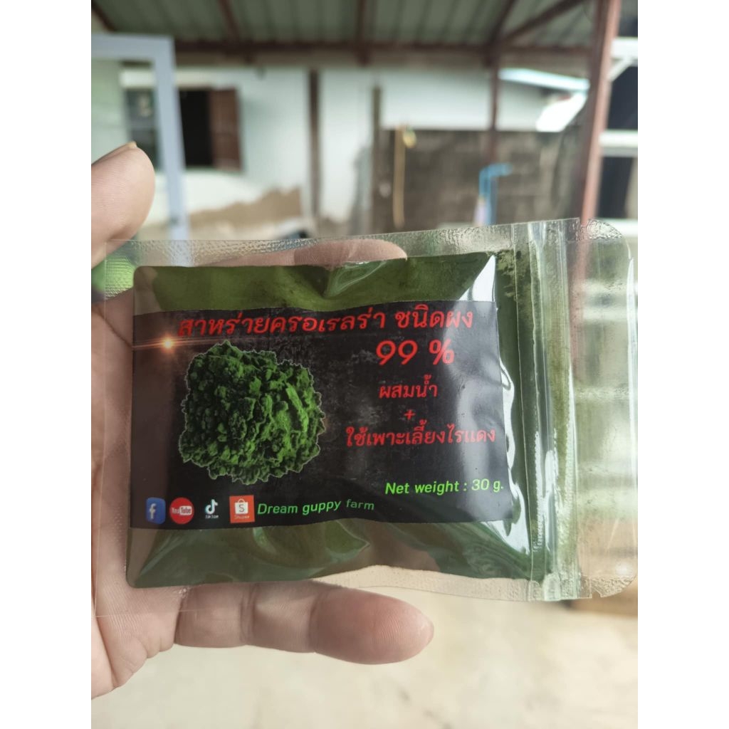 30 กรัม สาหร่ายครอเรลร่า ชนิดผง ผสมน้ำ ใช้เพาะเลี้ยงไรเเดง  มงกุฎทอง