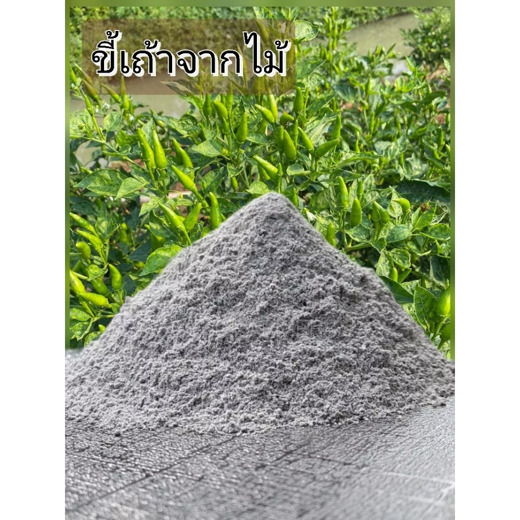 ขี้เถ้าถ่านไม้ ขนาด 1 กิโลกรัม
