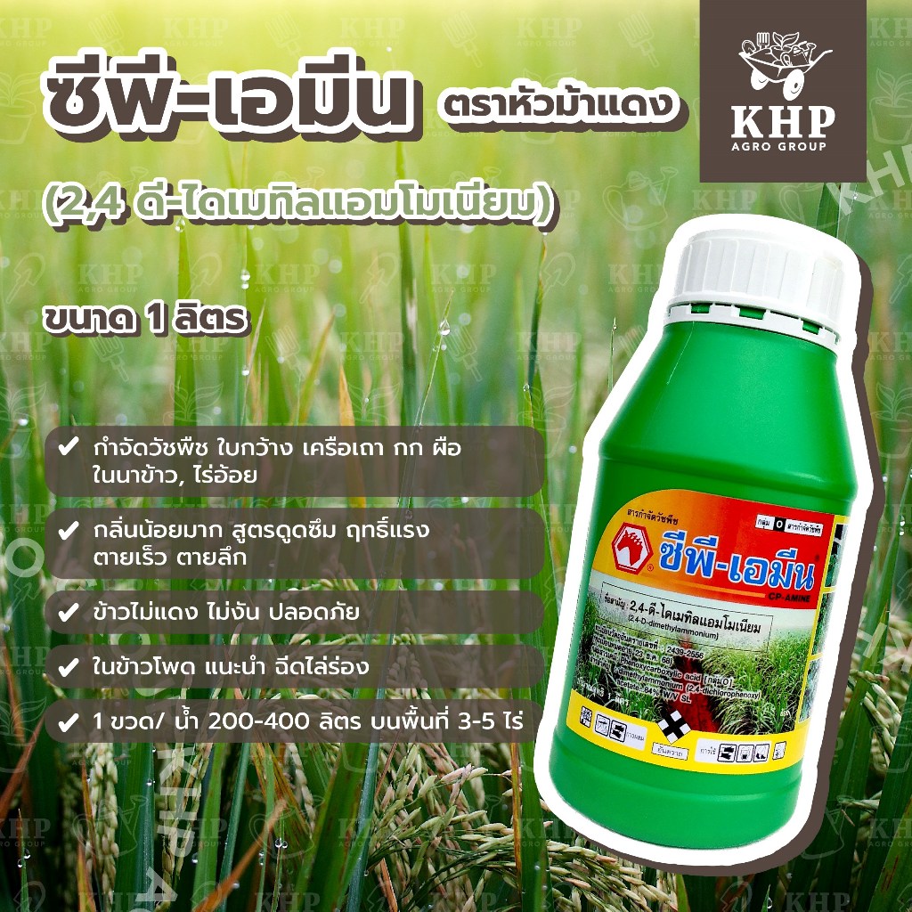 ซีพี-เอมีน กำจัดวัชพืชในนาข้าว ไร่อ้อย 2,4ดี 🌿 หญ้าตายลึก ตายทน ตายนาน ปลอดภัย ไม่เหม็น ข้าวไม่แดง 🌿 ซีพีเอมีน 1 ลิตร