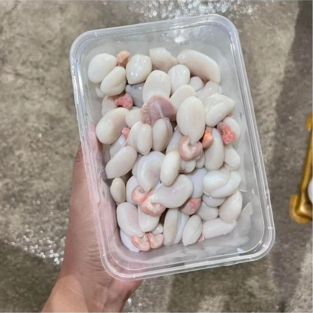 ไข่หมึกกระดอง ฟรีช ไซส์เล็กและไซส์ใหญ่ แบ่งขายกล่องละ200-500กรัม
