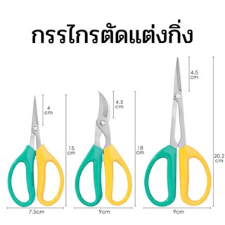 กรรไกรตัดกิ่ง กรรไกรเขียวเหลือง กรรไกรริดใบ กรรไกรบอนไซ