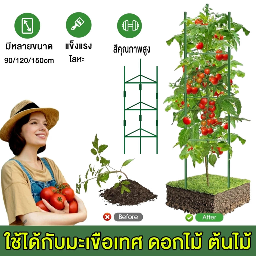 ไม้ค้ำต้นไม้ DIY ยาว90-150ซม หนา11มม โครงปลูกผัก เสามะเขือเทศ เหล็กเคลือบพลาส ไม้ค้ำยันต้นไม้ ค้างต้นไม้