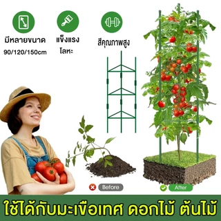 ไม้ค้ำต้นไม้ DIY ยาว90-150ซม หนา11มม โครงปลูกผัก เสามะเขือเทศ เหล็กเคลือบพลาส ไม้ค้ำยันต้นไม้ ค้างต้นไม้