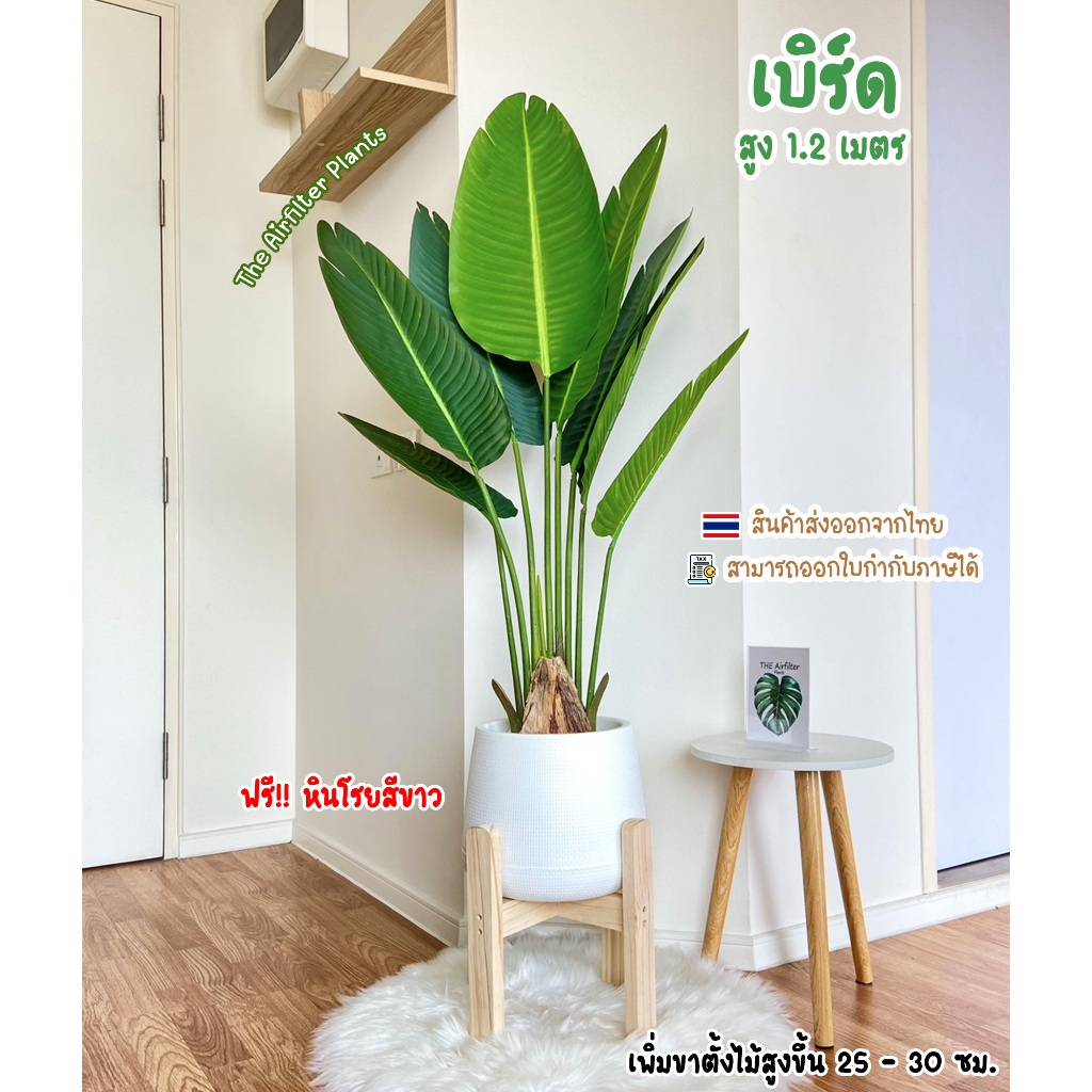 ต้นไม้ปลอมSizeใหญ่ พร้อมกระถางครบเซ็ต(ฟรี!!หินโรยสีขาว) ต้นเบิร์ดสูง120-155ซม. ตั้งข้างทีวี