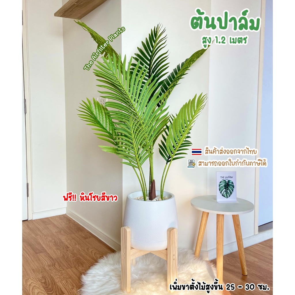 ต้นไม้ปลอมSizeใหญ่ พร้อมกระถางครบเซ็ต(ฟรี!!หินโรยสีขาว) ต้นปาล์ม สูง120-150cm ตั้งข้างทีวี