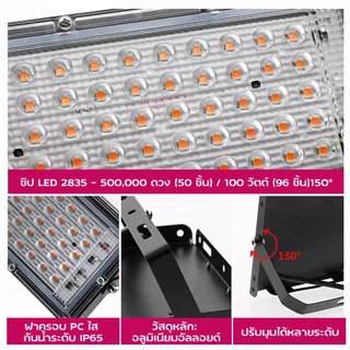 ไฟเลี้ยงต้นไม้ ไฟปลูกต้นไม้ 100W ไฟเลี้ยงแคคตัส ไฟเลี้ยงไม้ด่าง ไฟเลี้ยงกระบองเพชร Full Spectrum LED Growth Lights
