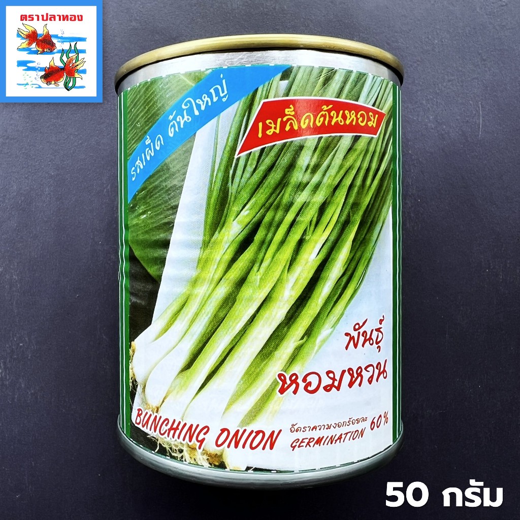 เมล็ดพันธุ์หอมแบ่ง เมล็ดต้นหอม กระป๋อง ขนาด 50 กรัม ตราปลาทอง พันธุ์ หอมหวน