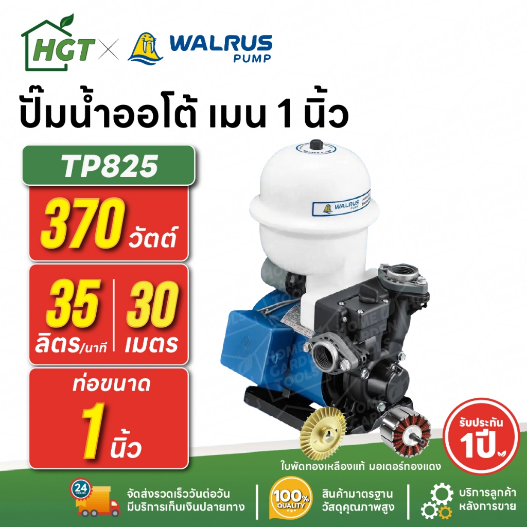 ปั๊มน้ำออโต้ แรงดันคงที่ - เมน 1 นิ้ว - 2 ชั้น 2 ห้องน้ำ 370 วัตต์ WALRUS TP825P | มอเตอร์ทองแดง