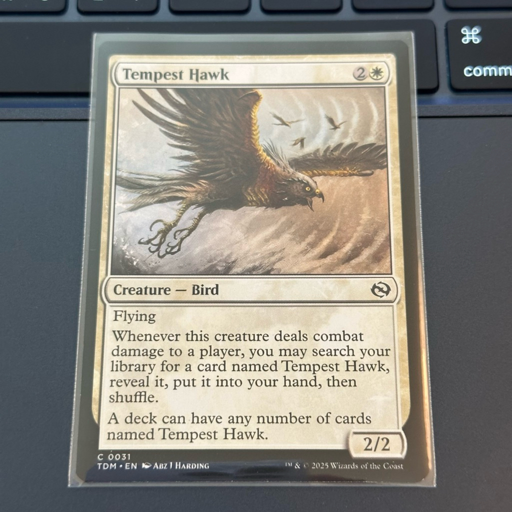 Tarkir: Dragonstorm: Tempest Hawk