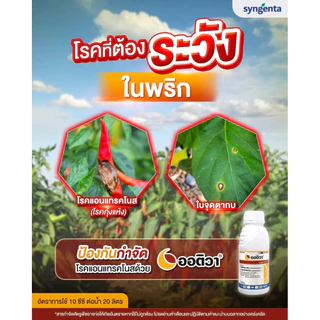 ออติวา (ไดฟีโนโคนาโซล+อะซอกซีสโตรบิน) *ขนาด 500 ซีซี ป้องกันกำจัดโรคพืชในผัก ผลไม้ และนาข้าว