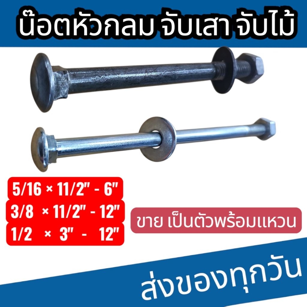 น็อตหัวกลม จับเสา จับไม้ ขายเป็นตัวพร้อมแหวน 5/16 3/8 1/2 ยาว 2"-12"