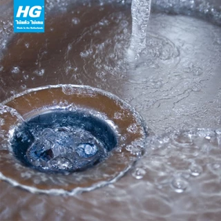เอชจี กำจัดกลิ่นท่อระบายน้ำ (HG drain odour remover) ขนาด 500 กรัม