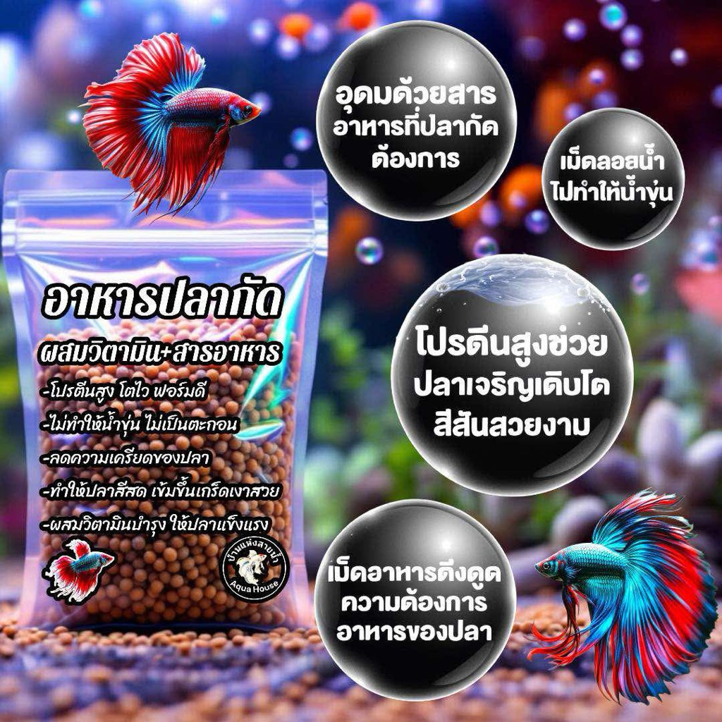 🔥ขายดี🔥อาหารปลากัด+ผสมวิตามิน โปรตีนสูง สีสด ฟอร์มดี เกร็ดเงา ไม่ทำให้น้ำขุ่น ลดความเครียดของปลา อาหารปลา วิตามินปลา