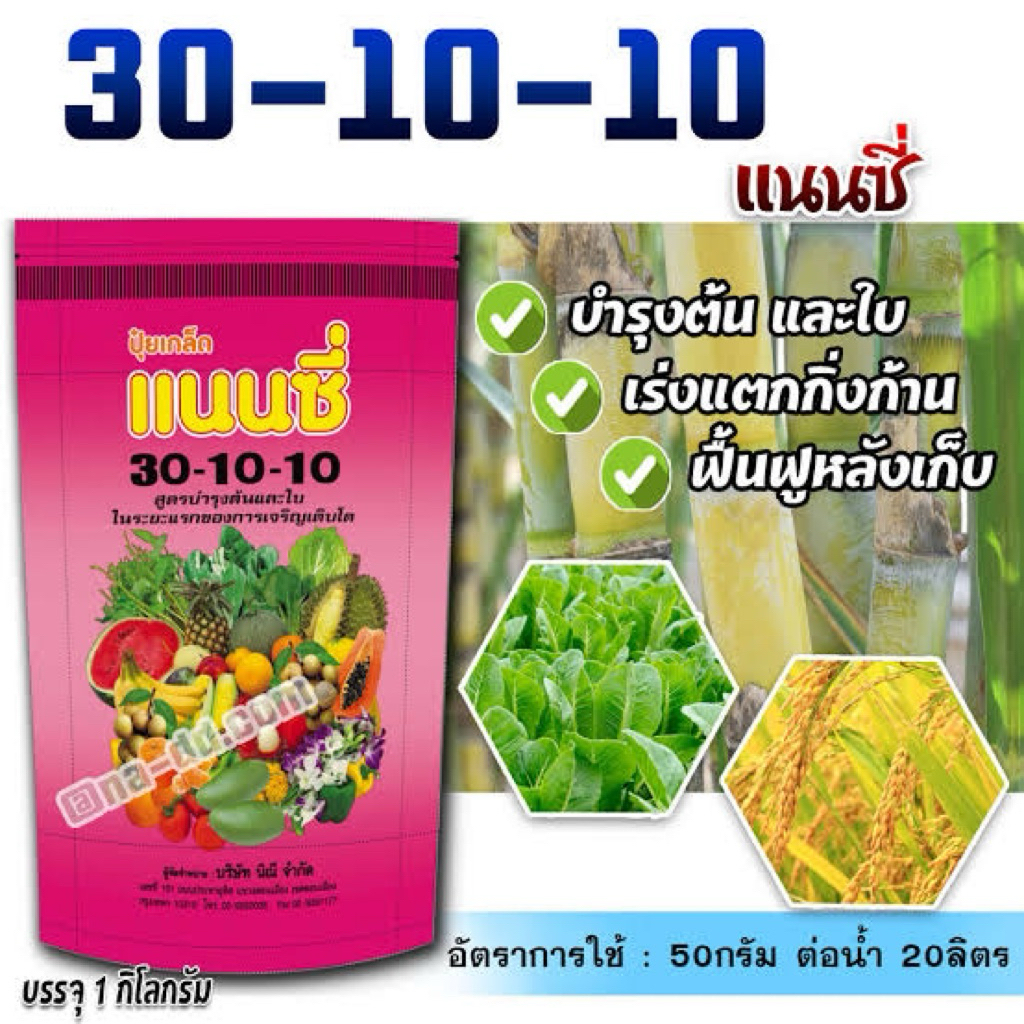 ปุ๋ยเกล็ดแนนซี่ 30-10-10