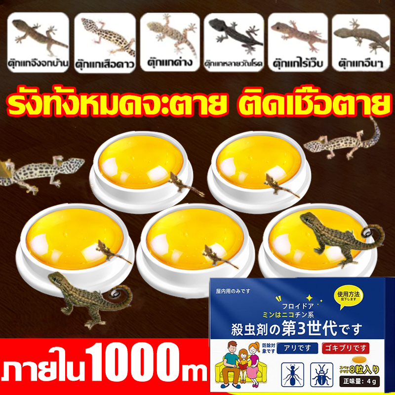 นําเข้าจากญี่ปุ่น ยาฆ่าตุ๊กแก ไม่มีตุ๊กแกทั้งบ้าน 365 วัน ยาฆ่าจิ้งจกตาย เสียชีวิตหลังจากหลบหนีจากพิษ ยาฆ่าจิ้งจก ติดเชื