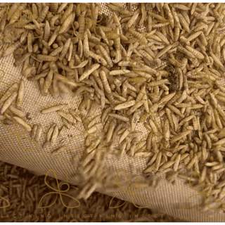BSF หนอนแมลงวันลายอบแห้ง 500g โปรตีนสูง สำหรับสัตว์เลี้ยง ฟาร์มไก่ ปลา กบ โรงงานส่งตรง ราคาถูกสุด