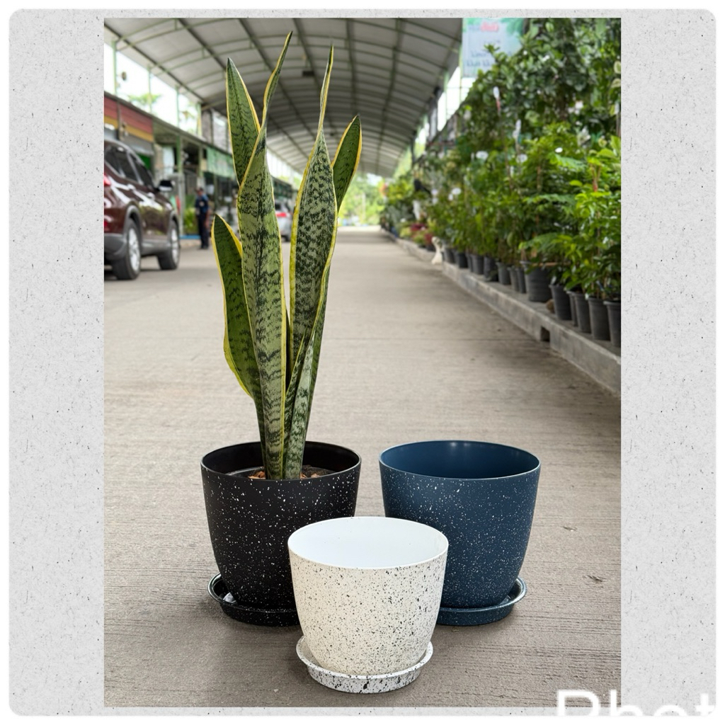 ‼️ถูก  ส่งเร็วทันใจ‼️ กระถางทรงไข่ ลายหินอ่อน ขนาด 9.5-11 นิ้ว ราคา ถูกที่สุด ดีลบีเคเค แกลเลอรีภาพที่ 3
