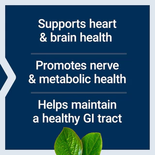 [แท้100%] Life Extension BioActive Folate & Vitamin B12 | โฟเลต + วิตามินบี12 | บำรุงเลือด สมอง หัวใจ เส้นประสาท | USA