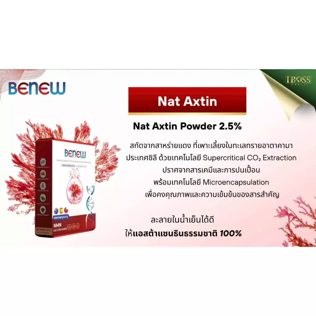 BeNew NMN Nicotinamide วิตามินต้านแก่ thumbnail 7