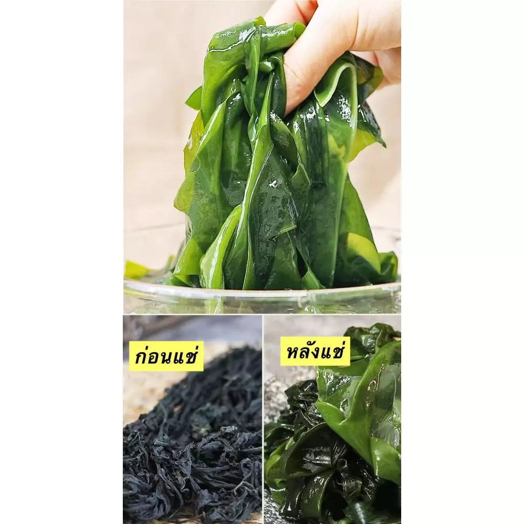 ส่งไว สาหร่ายวากาเมะ เกรดA+  สาหร่ายวากาเมะอบแห้ง  Dried Wakame Seaweed 裙带菜 건미역 thumbnail 4