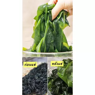 ส่งไว สาหร่ายวากาเมะ เกรดA+ สาหร่ายวากาเมะอบแห้ง Dried Wakame Seaweed 裙带菜 건미역