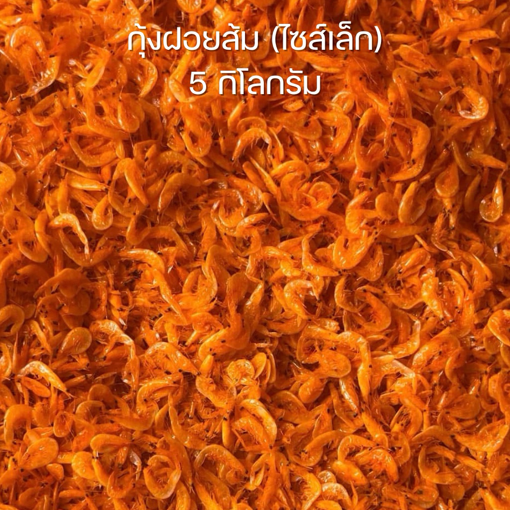 กุ้งฝอยส้ม เคยส้ม 5 กิโลกรัม กุ้งแห้งฝอย เค็มธรรมชาติ