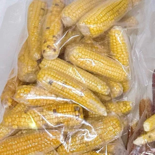 (N.KMF) ข้าวโพดฝัก ข้าวโพดลับฟัน แฮมสเตอร์ เจอร์บิล ดอร์เมาส์ และสัตว์ฟันแทะ