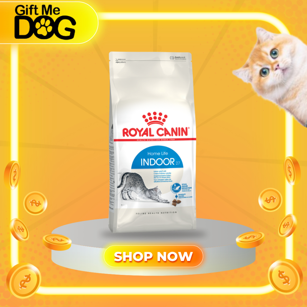 exp.08/2027 Royal canin Indoor 10 kg โรยัล คานิน อาหารเม็ดสำหรับแมวเลี้ยงในบ้าน ขนาด 10 กิโลกรัม