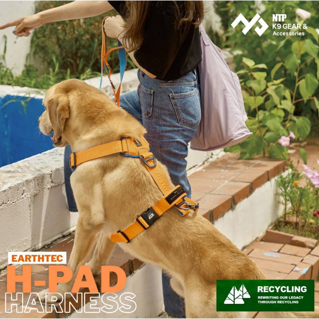 NTP สายรัดอกสุนัข H PAD HARNESS