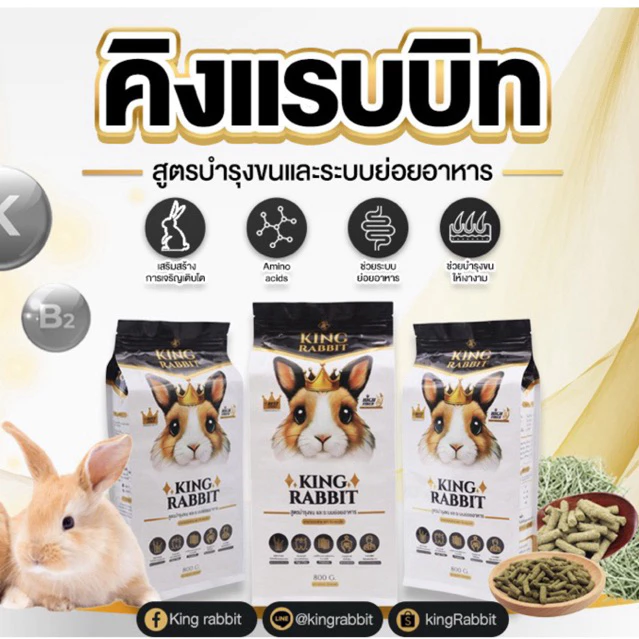 ðbest 1stðāļāļēāļŦāļēāļĢāļāļĢāļ°āļāđāļēāļĒ kingrabbit āļāļēāļŦāļēāļĢāđāļĄāđāļ āļŠāļģāļŦāļĢāļąāļāļāļĢāļ°āļāđāļēāļĒ 800āļāļĢāļąāļĄ (āļāļąāļ§āđāļāļāļāļģāļŦāļāđāļēāļĒāļ āļēāļāļāļĨāļēāļ)