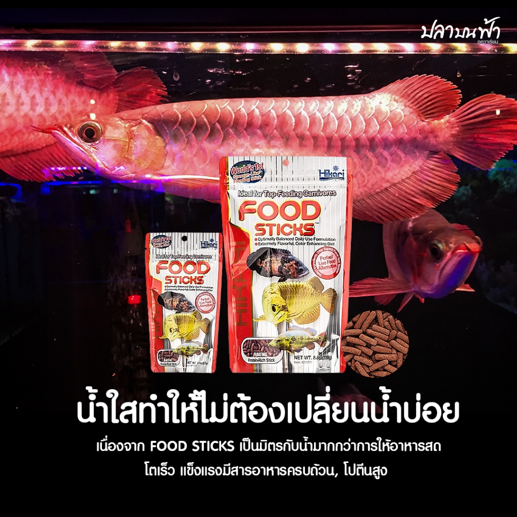 Hikari Tropical Food Sticks ฮิคาริ อาหารปลา มังกร ปลาอะโรวาน่า ปลานกินเนื้อ ขนาด 57g , 250g ชนิดเม็ดลอย รูปที่ 2