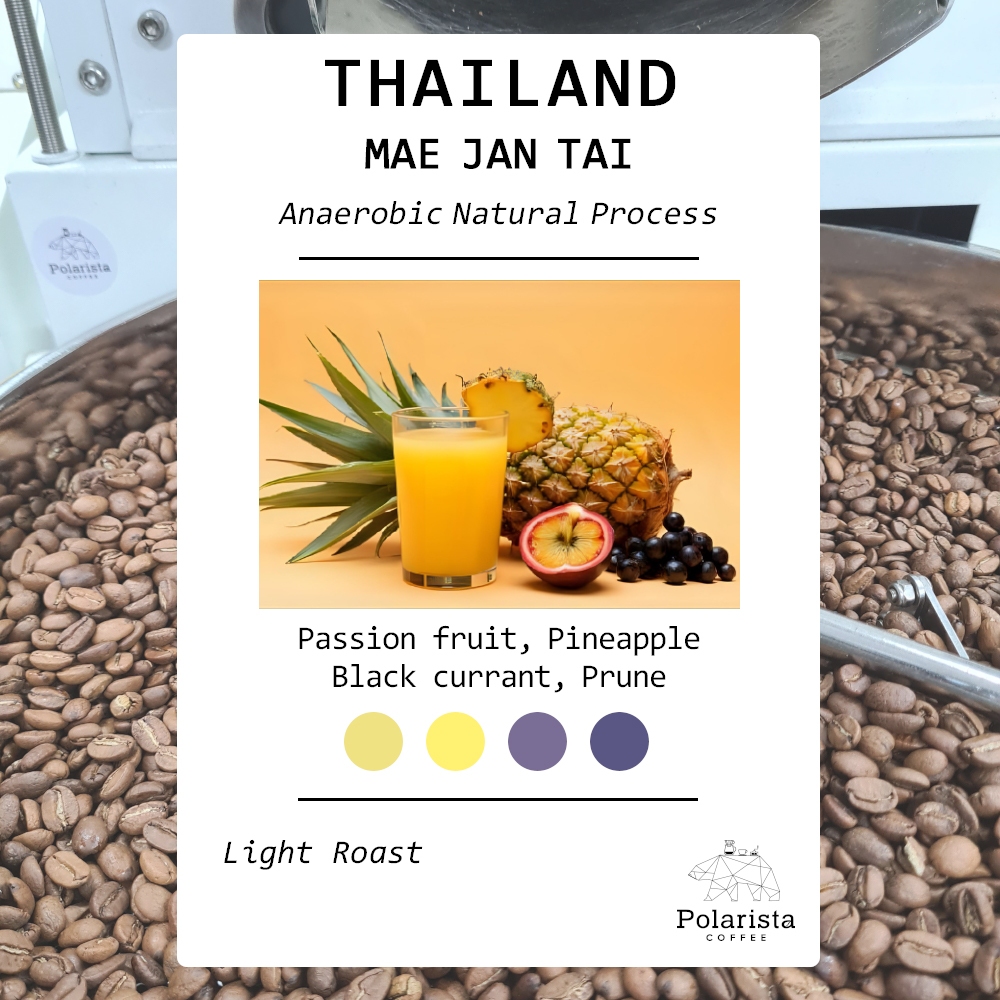เมล็ดกาแฟคั่ว Thailand Mae Jan Tai Anaerobic Natural roasted coffee 200g