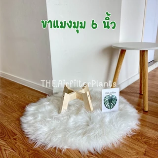 ขาตั้งกระถางต้นไม้ ขาตั้งไม้สนนอก 4-6 นิ้ว🪵