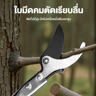 MAYILON กรรไกรเก็บผลไม้ กรรไกรด้ามยาว ด้ามสแตนเลส กรรไกรตัดกิ่งไม้ อุปกรณ์ตัดแต่งกิ่งมืออาชีพ กรรไกรตัดกิ่งด้ามยาว