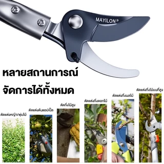 MAYILON กรรไกรเก็บผลไม้ กรรไกรด้ามยาว ด้ามสแตนเลส กรรไกรตัดกิ่งไม้ อุปกรณ์ตัดแต่งกิ่งมืออาชีพ กรรไกรตัดกิ่งด้ามยาว