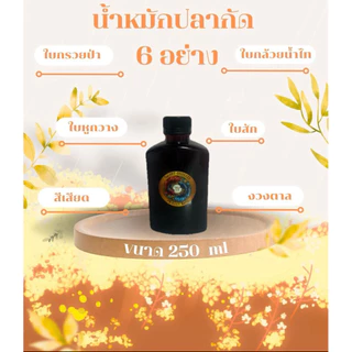 น้ำหมักปลากัด 6 อย่าง ใบกรวยป่า ใบหูกวาง ใบกล้วยน้ำไท ใบสัก สีเสียด และงวงตาล ทำให้ปลาคึก แข็งแรง