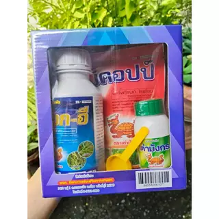 ชุดสุดคุ้ม (1 ชุดใช้ได้ 10 ไร่) ตราเต่ามังกร ใช้ป้องกันกำจัดหญ้าดอกขาว หญ้าตีนนก หญ้าแดง หญ้ากระดูกไก่ หญ้าดอกธูป หญ้าข้