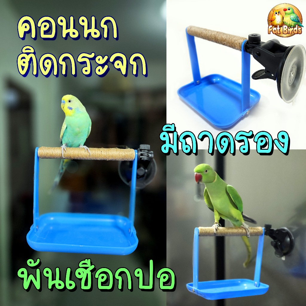 คอนนกไซค์ S สำหรับนกขนาดเล็ก มีถาดรองขี้ ติดกระจก คอนมีให้เลือก3แบบ ติดแน่นติดนาน ปรับได้หลายทิศทาง ติดในรถหรือในบ้านได้