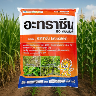อะทราซีน 80% ผง WP 1 กิโลกรัม กำจัดวัชพืชใน อ้อย ข้าวโพด
