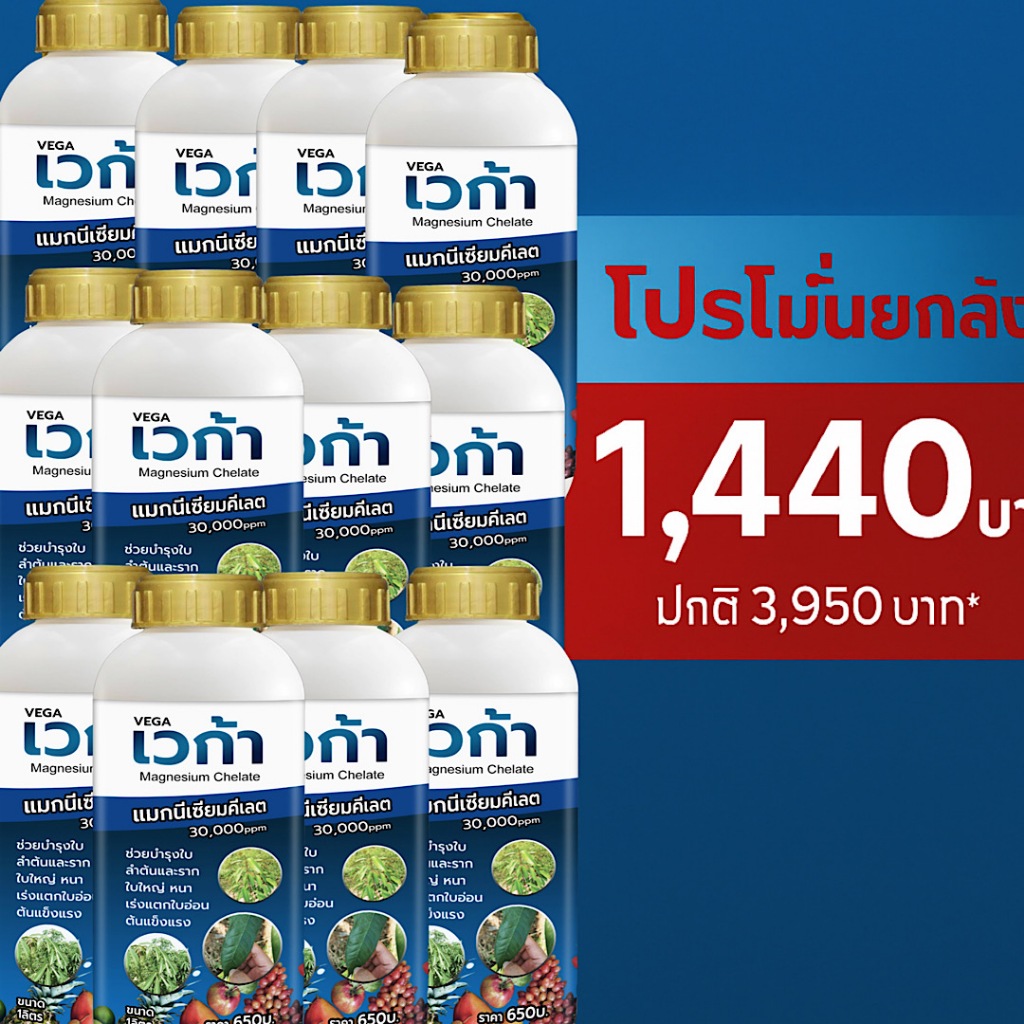 แมกนีเซียมพืช ยกลัง ฟื้นฟูต้น เร่งการเจริญเติบโต ใบเขียว ใบเข้ม ใบหนา เร่งแตกแขนง แตกกอ 12ขวด