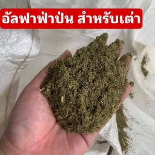 🎉20KG🎉 หญ้าทิมโมธี สับละเอียดพิเศษ และอัลฟาฟ่าป่น สำหรับเต่าบก20กก 🐢