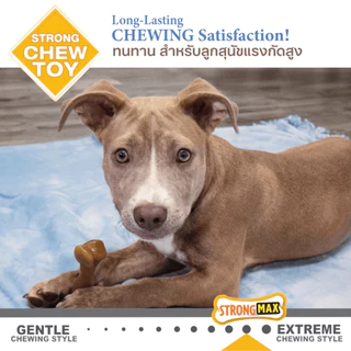 Made in USA🇺🇸 Nylabone Strong Chew Gourmet Style Femur Puppy Chew Bacon Flavor ของเล่นขัดฟันลูกสุนัข
