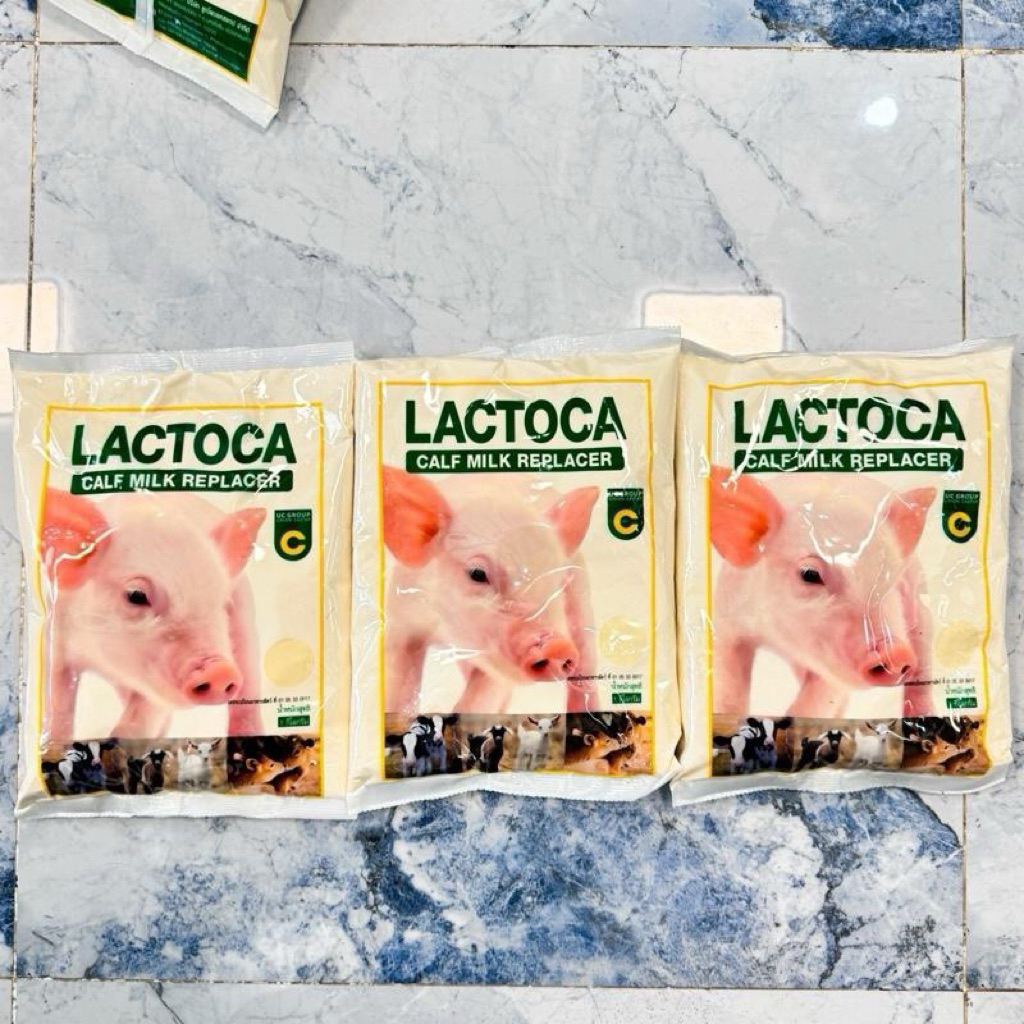 [3kg.]แลคโตคา อาหารแทนนมสำหรับวัว ควาย หมู แพะ