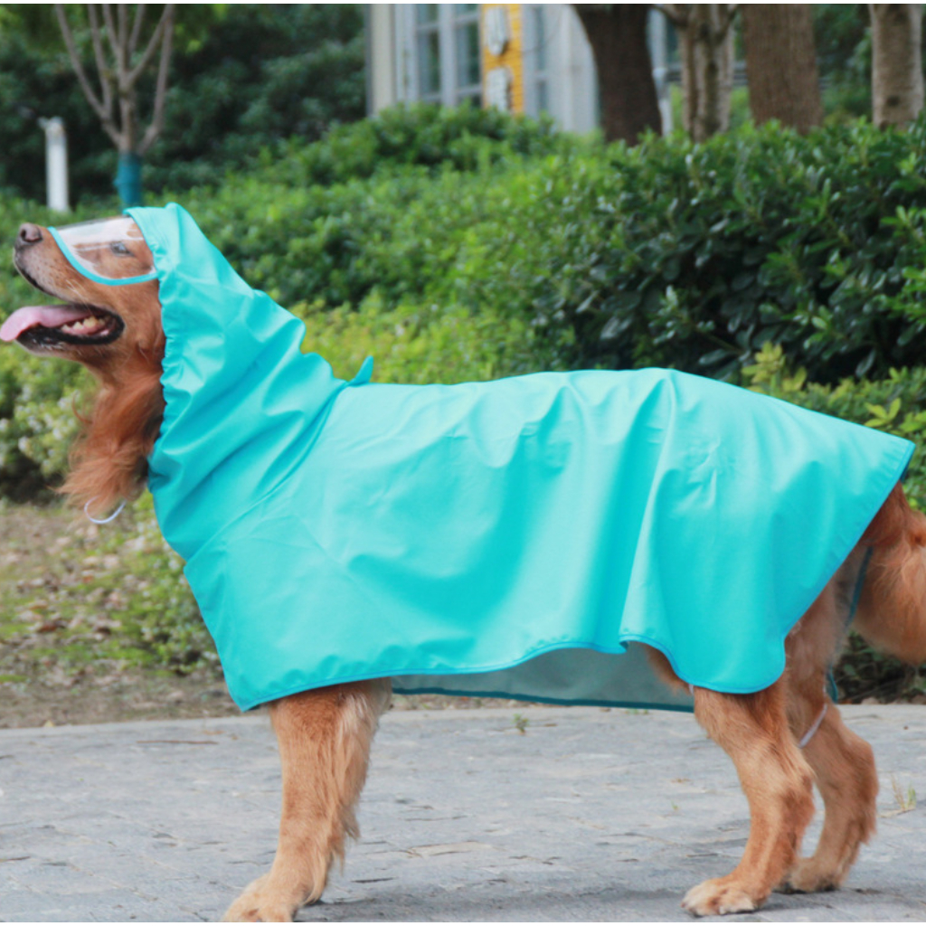 MG-733 เสื้อกันฝนสำหรับสัตว์เลี้ยง สุนัขและหมา กันน้ำได้ดี ดีไซน์น่ารัก พร้อมไซส์ใหญ่ ราคาสบายกระเป๋า พร้อมจัดส่งทันที ราคา ถูกที่สุด ดีลบีเคเค แกลเลอรีภาพที่ 5