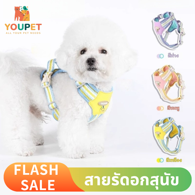 สายรัดอกสุนัข เสื้อกั๊กสายรัดอก เข็มขัดสายรัดอก  สีพาสเทล ระบายความ สำหรับหมาและแมว แบบสวมใส่ง่าย COD